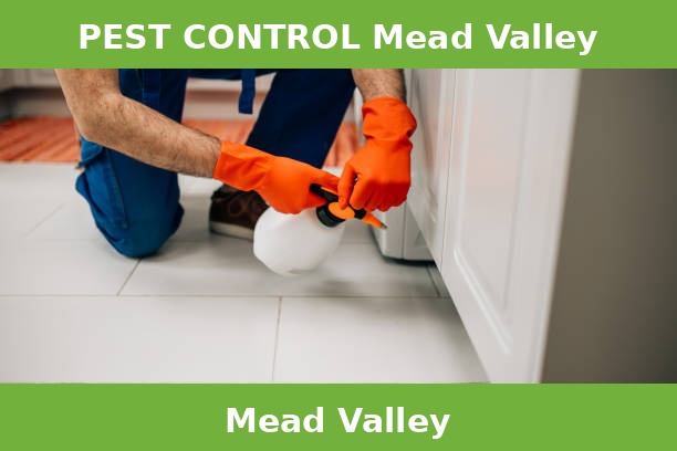 PEST CONTROL Mead Valley